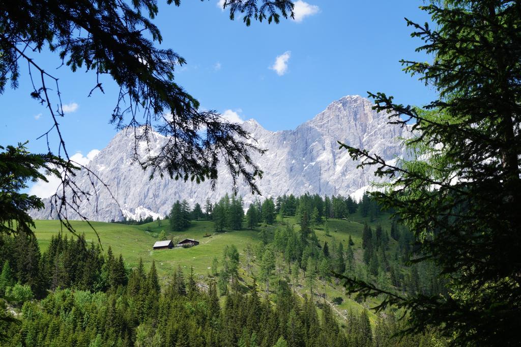 Appartement Haus Latschenheim à Ramsau am Dachstein Extérieur photo