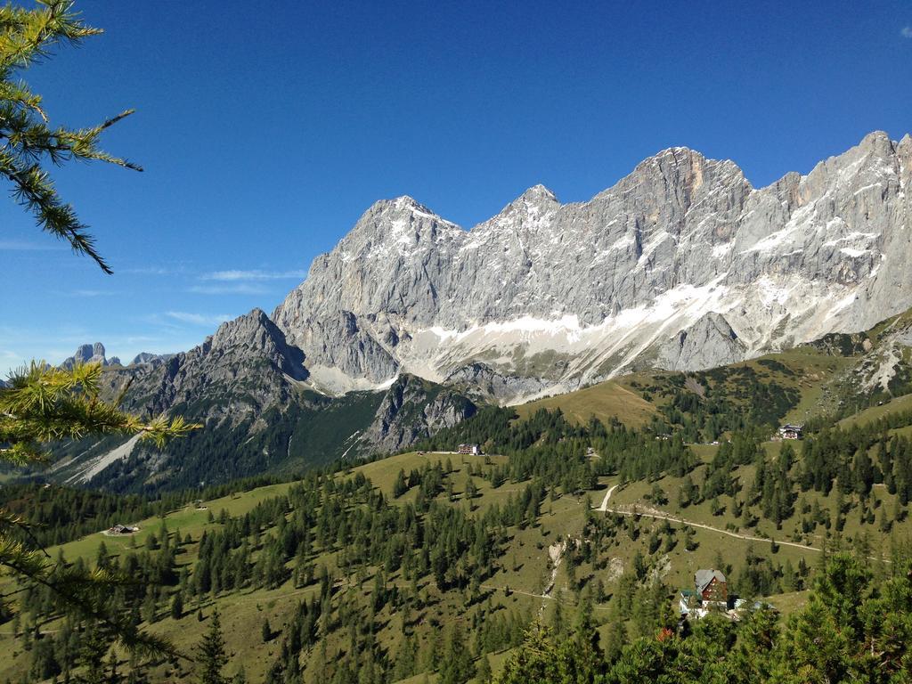 Appartement Haus Latschenheim à Ramsau am Dachstein Extérieur photo